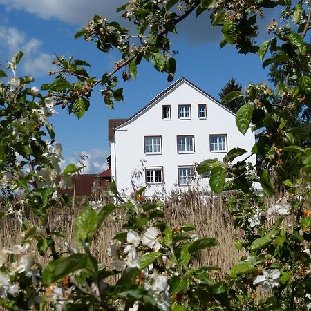Das Haus Am Teich Gross Grabow Dış mekan fotoğraf
