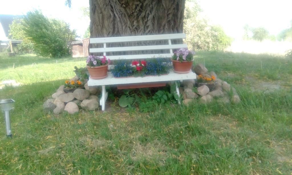 Das Haus Am Teich Gross Grabow Dış mekan fotoğraf