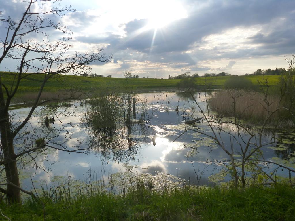 Das Haus Am Teich Gross Grabow Dış mekan fotoğraf